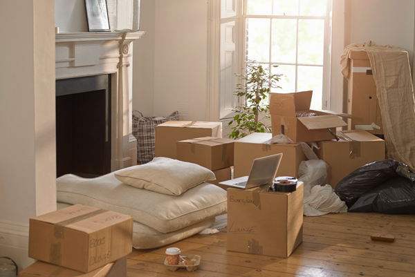 MS Packers and Movers